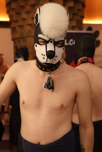 Puppy Night @ Babylon 28.10.2025