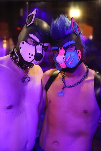 Puppy Night @ Babylon 28.10.2025