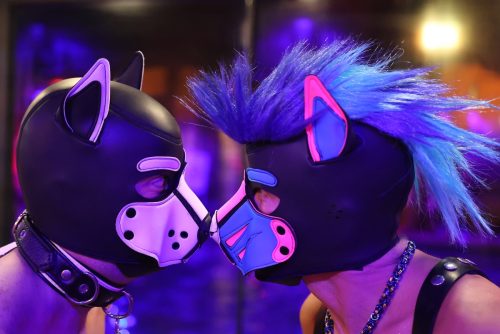 Puppy Night @ Babylon 28.10.2025