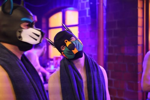 Puppy Night @ Babylon 28.10.2025