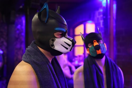 Puppy Night @ Babylon 28.10.2025