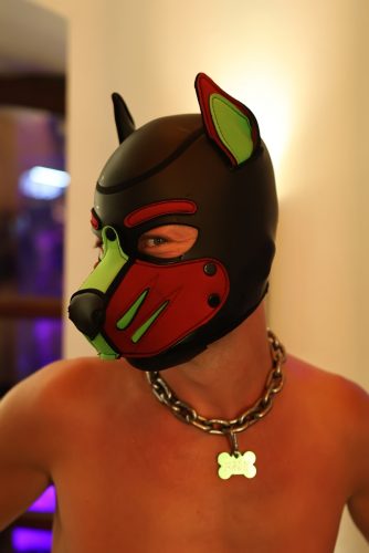 Puppy Night @ Babylon 28.10.2025