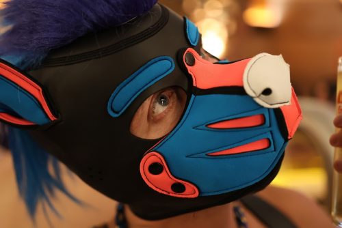 Puppy Night @ Babylon 28.10.2025