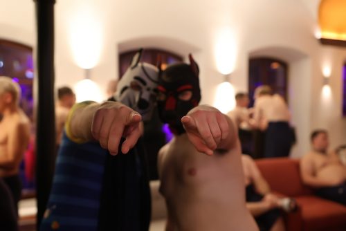 Puppy Night @ Babylon 28.10.2025