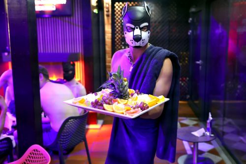 Puppy Night @ Babylon 28.10.2025