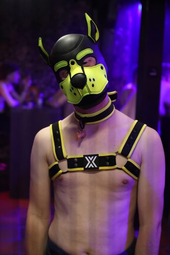 Puppy Night @ Babylon 28.10.2025