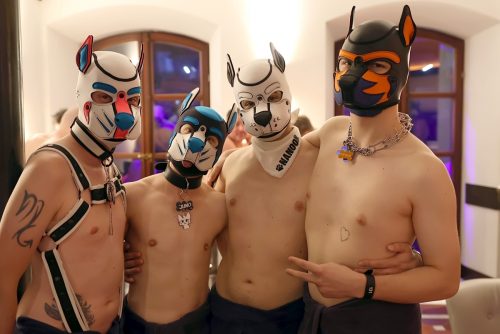 Puppy Night @ Babylon 28.10.2025