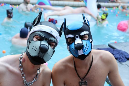 pruppycologne-puppynight-20260623-img-024