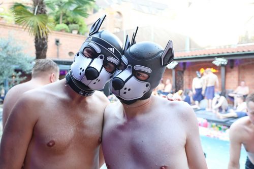 pruppycologne-puppynight-20260623-img-051
