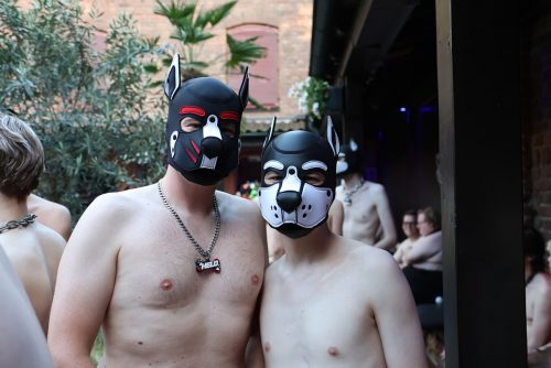 pruppycologne-puppynight-20260623-img-078