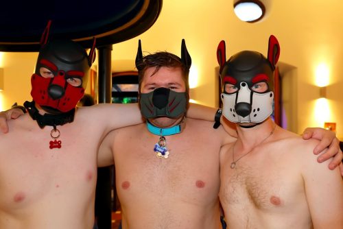 pruppycologne-puppynight-20260623-img-156