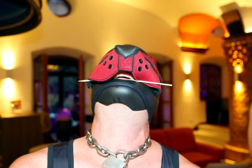 pruppycologne-puppynight-20260623-img-161