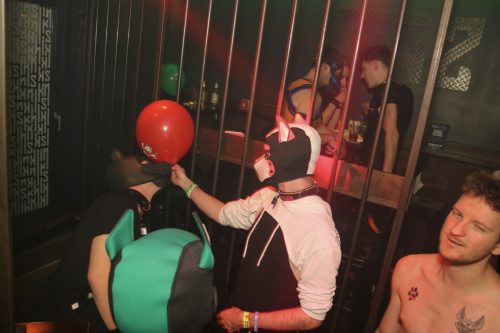 Puppy Cologne get Together 26.09.2025