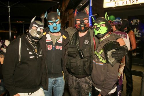 Puppy Cologne get Together 26.09.2025
