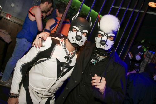 Puppy Cologne get Together 26.09.2025