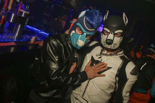 Puppy Cologne get Together 26.09.2025