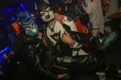 Puppy Cologne get Together 26.09.2025