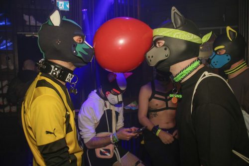 Puppy Cologne get Together 26.09.2025
