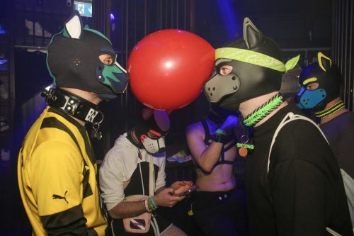 Puppy Cologne get Together 26.09.2025