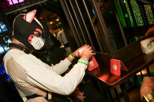 Puppy Cologne get Together 26.09.2025
