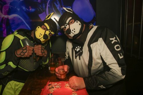 Puppy Cologne get Together 26.09.2025