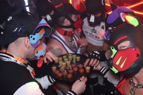 20251024_PPC_PuppyCologne_109