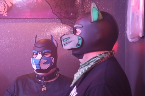 20251024_PPC_PuppyCologne_112