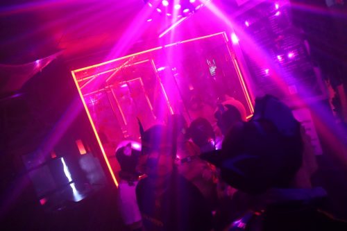 20251024_PPC_PuppyCologne_116