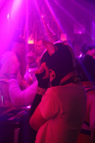 20251024_PPC_PuppyCologne_128