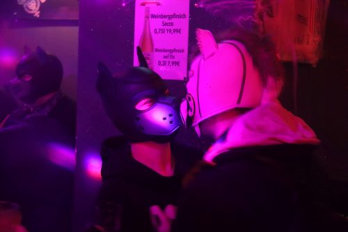 20251024_PPC_PuppyCologne_140