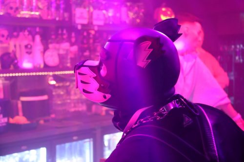 20251024_PPC_PuppyCologne_151