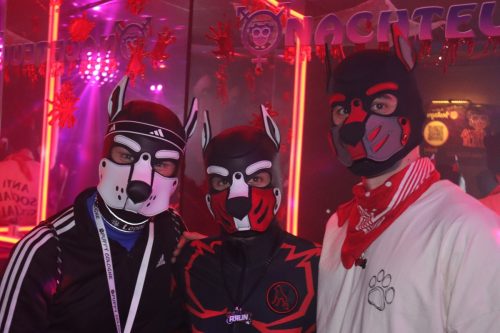 20251024_PPC_PuppyCologne_160