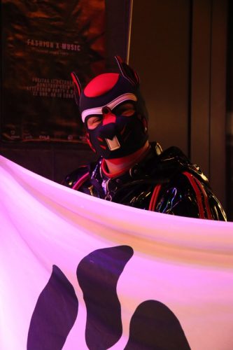 20251024_PPC_PuppyCologne_169