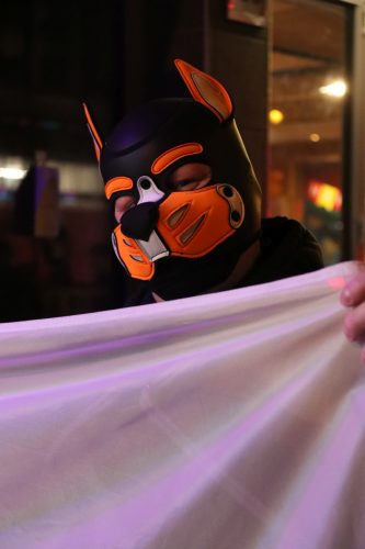 20251024_PPC_PuppyCologne_170