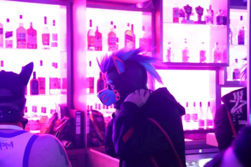 20251024_PPC_PuppyCologne_178