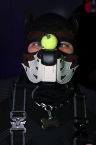 20251024_PPC_PuppyCologne_189