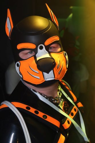 20251024_PPC_PuppyCologne_201