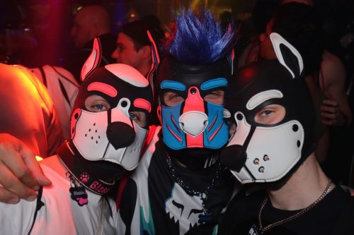 20251024_PPC_PuppyCologne_203