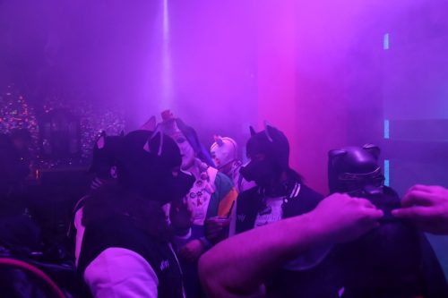 20251024_PPC_PuppyCologne_41