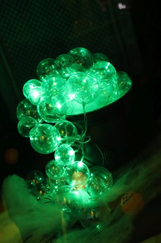 20251024_PPC_PuppyCologne_43