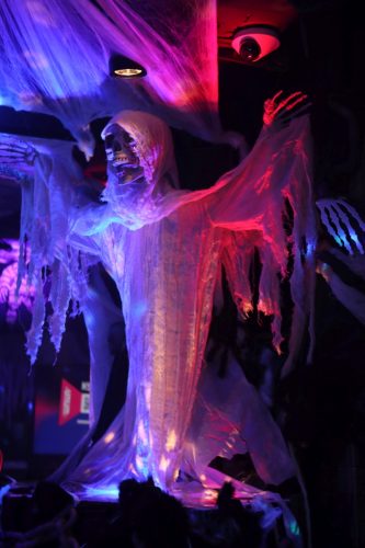 20251024_PPC_PuppyCologne_6