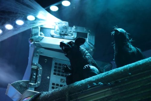 20251024_PPC_PuppyCologne_60