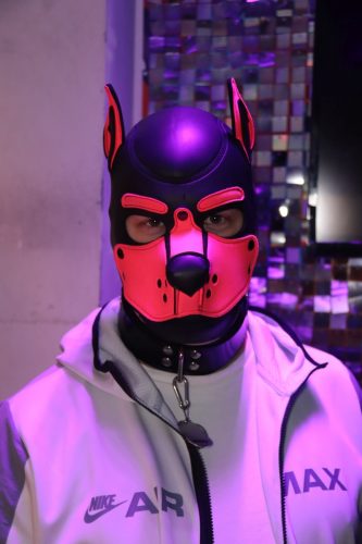 20251024_PPC_PuppyCologne_63