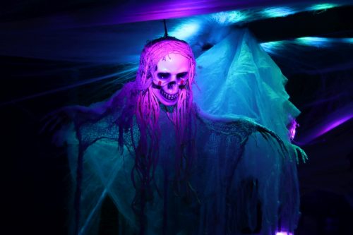 20251024_PPC_PuppyCologne_8