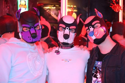 20251024_PPC_PuppyCologne_84