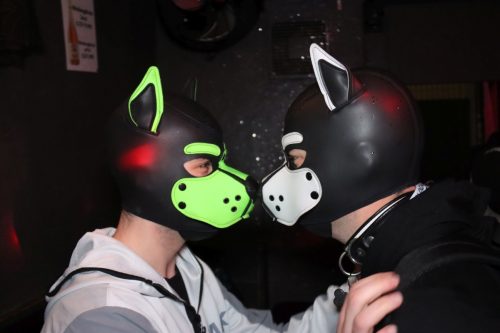 20251024_PPC_PuppyCologne_94