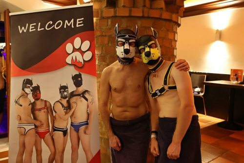 Puppy Night Dezember 2025