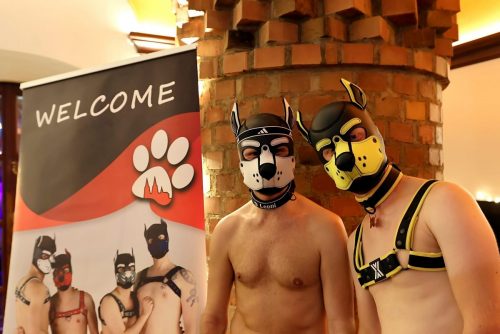 Puppy Night Dezember 2025