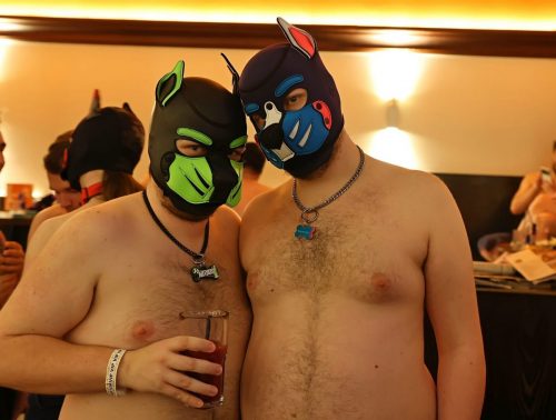 Puppy Night Dezember 2025