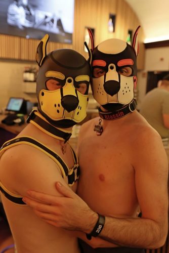 Puppy Night Dezember 2025